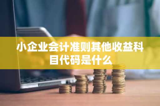 小企业会计准则其他收益科目代码是什么