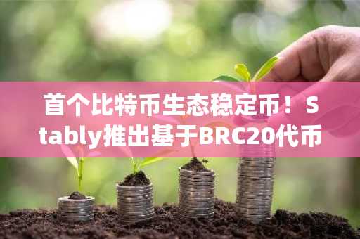 首个比特币生态稳定币！Stably推出基于BRC20代币#USD