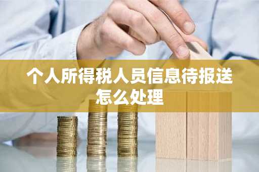 个人所得税人员信息待报送怎么处理
