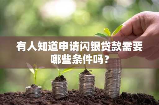 有人知道申请闪银贷款需要哪些条件吗？