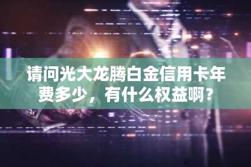 请问光大龙腾白金信用卡年费多少，有什么权益啊？