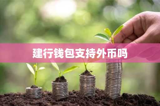 建行钱包支持外币吗