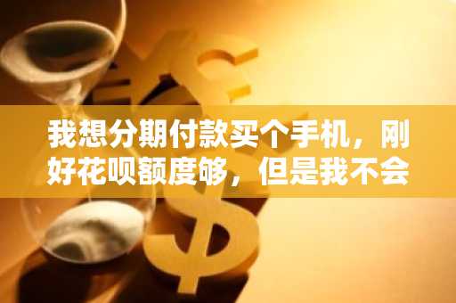 我想分期付款买个手机，刚好花呗额度够，但是我不会用。有人能教教我怎么分期么？
