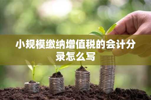 小规模缴纳增值税的会计分录怎么写