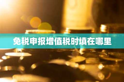 免税申报增值税时填在哪里