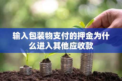 输入包装物支付的押金为什么进入其他应收款