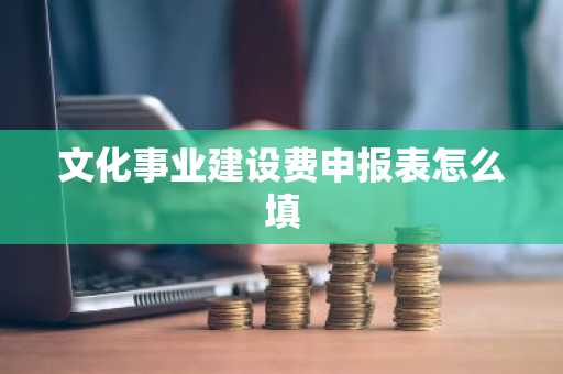 文化事业建设费申报表怎么填