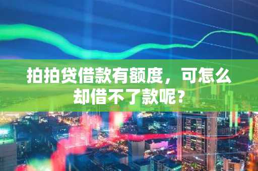 拍拍贷借款有额度，可怎么却借不了款呢？