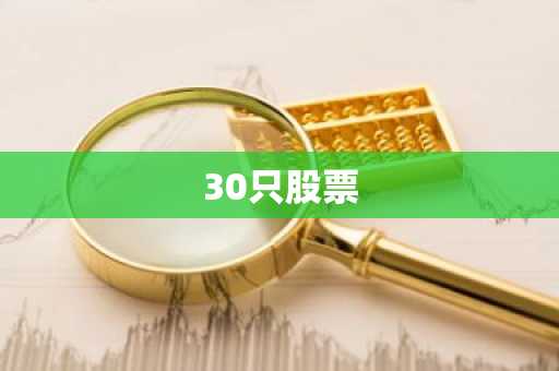 30只股票
