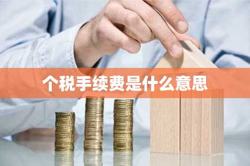 个税手续费是什么意思