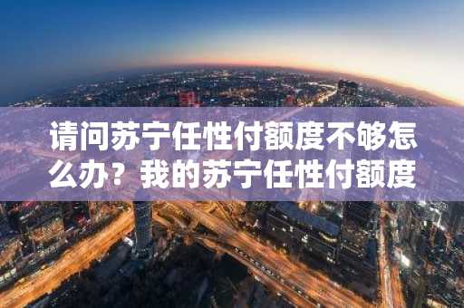 请问苏宁任性付额度不够怎么办？我的苏宁任性付额度不够。