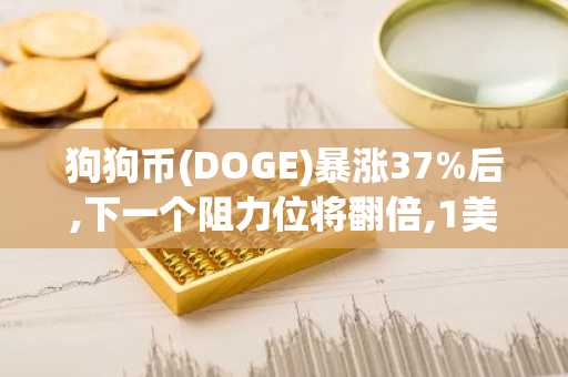 狗狗币(DOGE)暴涨37%后,下一个阻力位将翻倍,1美元不是梦!