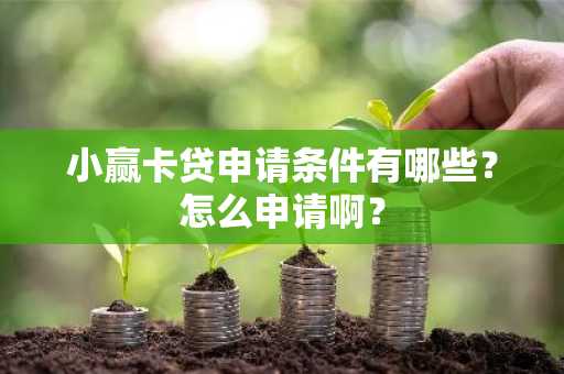 小赢卡贷申请条件有哪些？怎么申请啊？