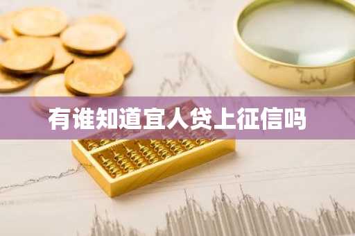 有谁知道宜人贷上征信吗