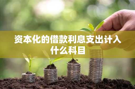 资本化的借款利息支出计入什么科目