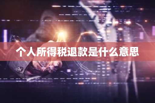 个人所得税退款是什么意思