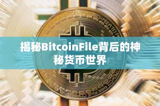 揭秘BitcoinFile背后的神秘货币世界