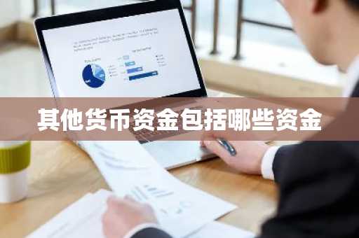 其他货币资金包括哪些资金