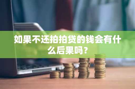 如果不还拍拍贷的钱会有什么后果吗？