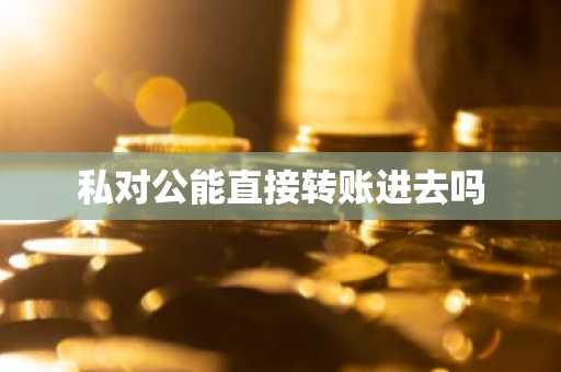 私对公能直接转账进去吗
