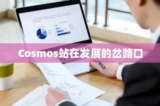 Cosmos站在发展的岔路口