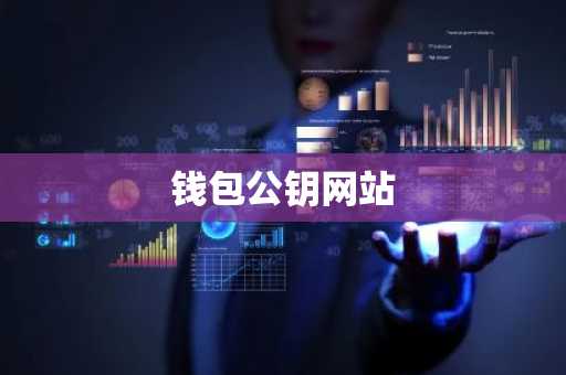 钱包公钥网站