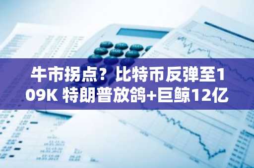 牛市拐点？比特币反弹至109K 特朗普放鸽 巨鲸12亿豪赌 HYPE暴涨超过50%