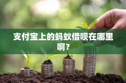 支付宝上的蚂蚁借呗在哪里啊？