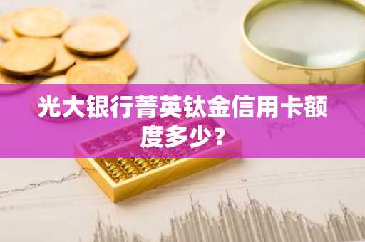 光大银行菁英钛金信用卡额度多少？