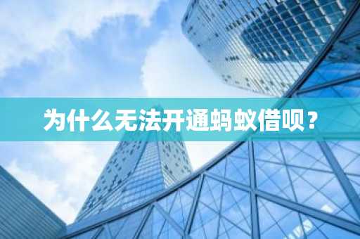 为什么无法开通蚂蚁借呗？