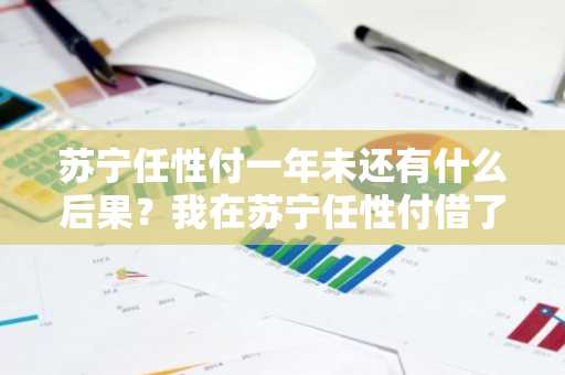 苏宁任性付一年未还有什么后果？我在苏宁任性付借了16000元。