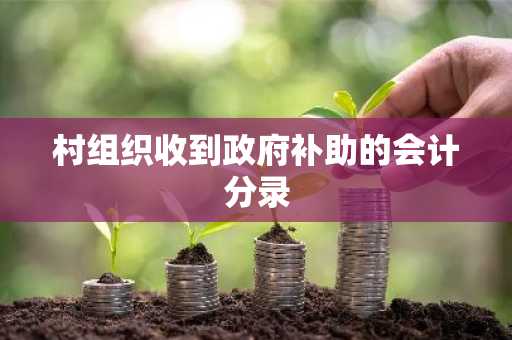 村组织收到政府补助的会计分录