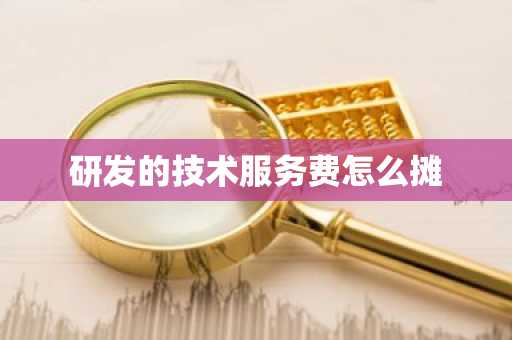 研发的技术服务费怎么摊