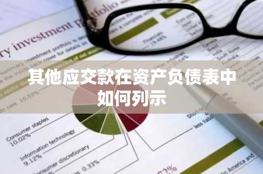 其他应交款在资产负债表中如何列示