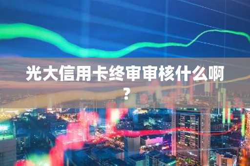 光大信用卡终审审核什么啊？