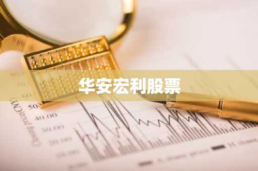 华安宏利股票