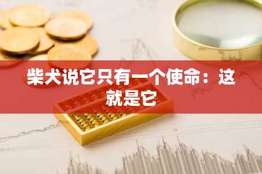 柴犬说它只有一个使命：这就是它