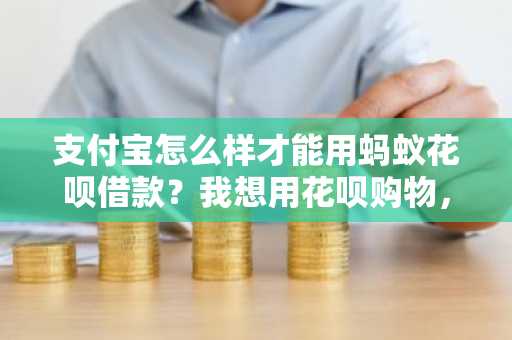 支付宝怎么样才能用蚂蚁花呗借款？我想用花呗购物，怎么开通啊。