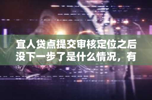 宜人贷点提交审核定位之后没下一步了是什么情况，有出现类似情况的吗？