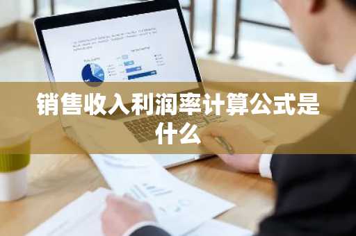 销售收入利润率计算公式是什么