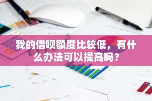 我的借呗额度比较低，有什么办法可以提高吗？