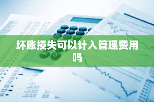 坏账损失可以计入管理费用吗
