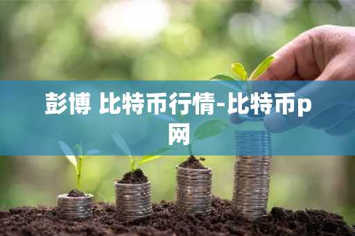 彭博 比特币行情-比特币p网