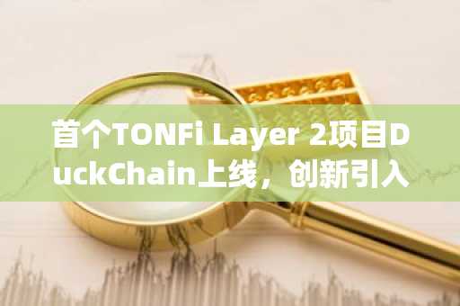 首个TONFi Layer 2项目DuckChain上线，创新引入Telegram Star支付Gas费