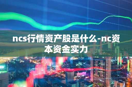 ncs行情资产股是什么-nc资本资金实力