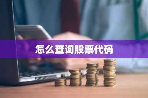 怎么查询股票代码