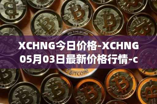 XCHNG今日价格-XCHNG05月03日最新价格行情-chainge最新走势消息