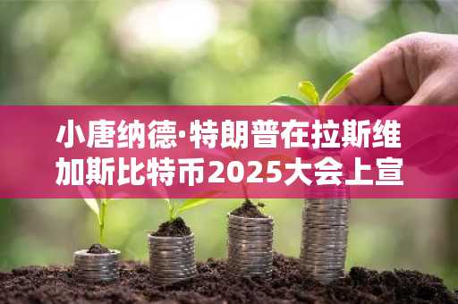 小唐纳德·特朗普在拉斯维加斯比特币2025大会上宣布25亿美元比特币储备计划