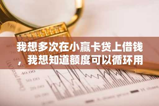 我想多次在小赢卡贷上借钱，我想知道额度可以循环用吗？