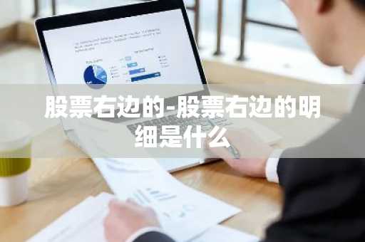 股票右边的-股票右边的明细是什么